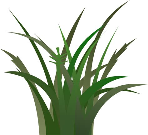 tuft  tall wavy grass clipart   cliparts  images