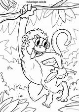 Malvorlage Affen Affe Ausmalbild Kostenlose sketch template