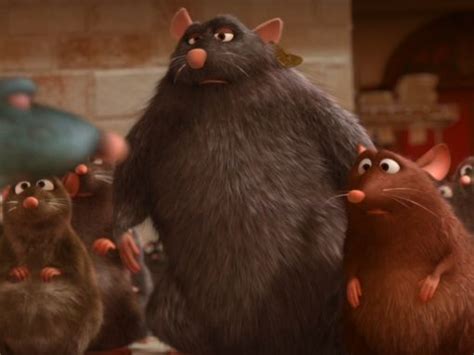 In Ratatouille 2007 Git The Jacked Rat Has A Tag On His Ear Reading