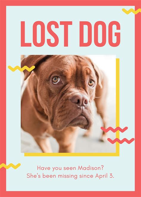 printable lost pet flyer printable world holiday