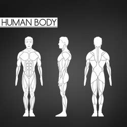 body outline pose side vector images