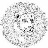 Leeuw Dieren Stemmen sketch template