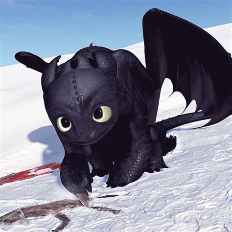 toothless   train  dragon pinterest toothless httyd