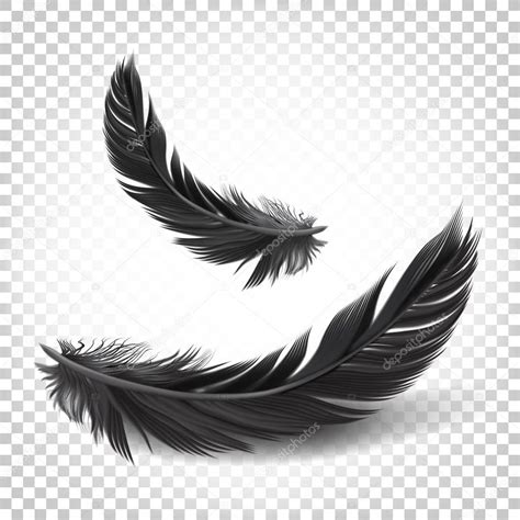 black feathers transparent vector black feathers white transparent