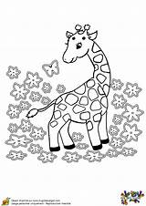 Girafe Bébé Hugolescargot Coloriages Partager sketch template