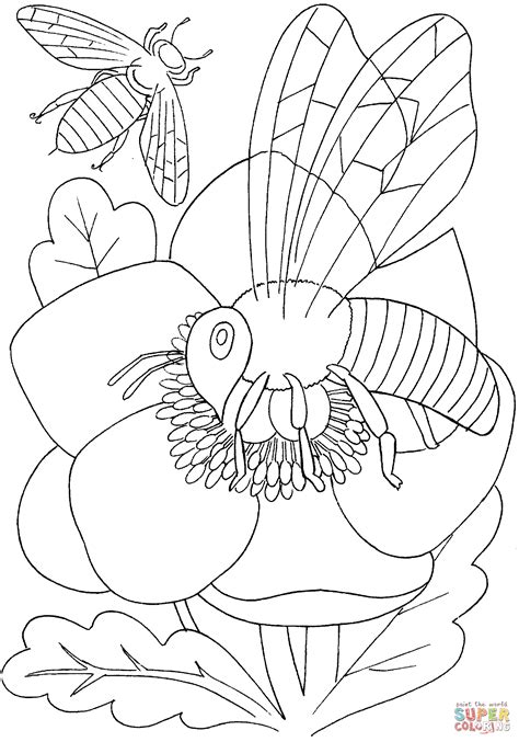 bee   flower coloring page  printable coloring pages