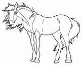 Paarden Kleurplaten Dieren Animaatjes Paard Tekening Equine Cavalo Printen Uitprinten Schattige Paardenhoofd sketch template