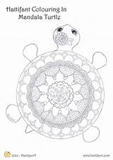 Mandala Coloring Pages Hattifant Mandalas Turtle Para Adult 3d Book Color Colorear Tortugas Niños Animaux Sheets Printable Arte Species Rare sketch template