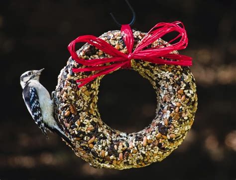 wild birds unlimited great handcrafted bird seed wreaths   holidays