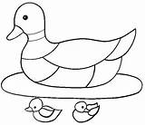 Coloring Duck Pages Ducks Coloringpages1001 sketch template