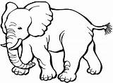 Elefantes sketch template