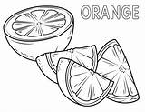 Oranges Orange2 sketch template