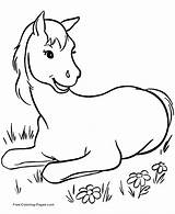 Horse Coloring Pages Horses Print Book sketch template
