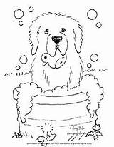 Coloring Newfoundland Bernard Pages Saint Great Pyrenees Dog Bath Amy Bolin Sheet Sheets St Time Puppy Getcolorings Getdrawings Dogs 98kb sketch template