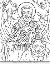 Assisi Saint Thecatholickid Clare Carlo Acutis Brigid sketch template