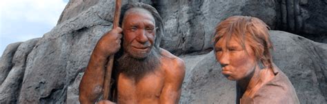 ancient humans procreated      species
