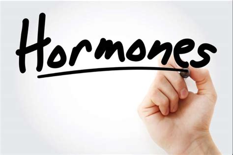 men s hormone quiz washington dc millennium wellness