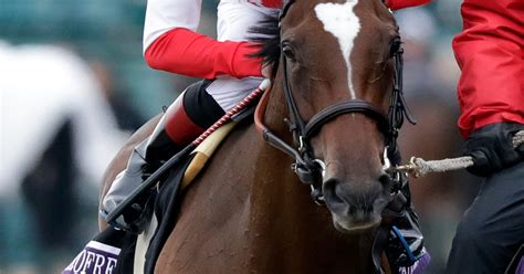 triple crown winner justify  horse   year