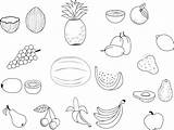 Coloriage Fruits Legumes Exotiques Legume Coloriages Légume Aplemontbasket Imprimer sketch template