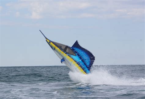 crazy submersible watercraft    sailfish lets  perform aerial tricks high tch