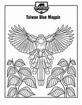 Taiwan Magpie Coloring sketch template