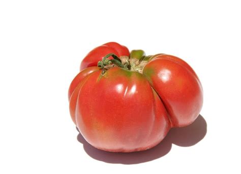 la cuisine du jardin tomate tomato