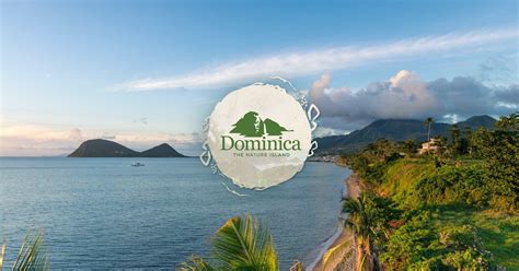 Visit The Island Of Dominica Immerse Yourself In Nature And Adventure