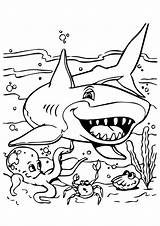 Coloring Pages Animals Sea Momjunction Ocean Animal Kids Shark Baby Printable Print Color Squid Water Colouring sketch template