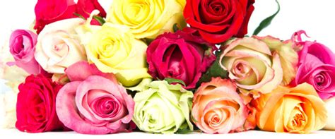 flower meanings can help you choose a perfect valentine s