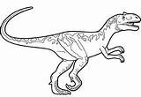 Allosaurus Coloring Pages Prehistoric Ankylosaurus Coloringpagesonly Getcolorings sketch template