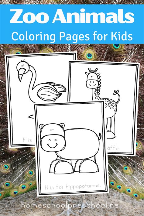 printable zoo animal coloring pages  preschool