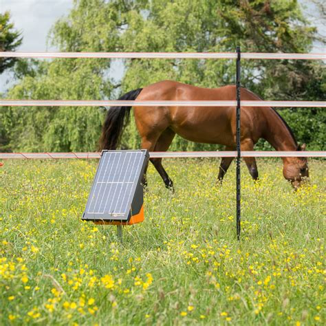 solar electric fence  horses