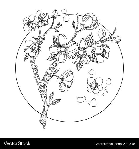 japanese cherry blossom coloring pages  elegant cherry blossom