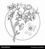 Cherry Blossom Coloring Book Vector Illustration Tattoo Royalty Preview sketch template