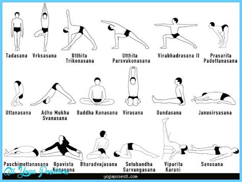 key poses  hatha yoga volume  yoga poses
