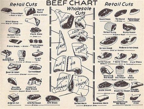 beef chart   ways  prepare meat  culinary arts