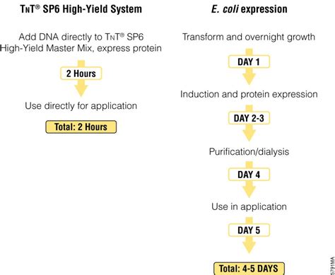 moving    cell advantages  cell  protein expression