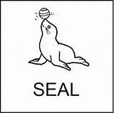 Seal Coloring Ringed Color Pages Animals Printable Print Sheet sketch template