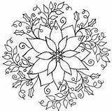 Coloring Pages Poinsettia Christmas Holly Large Obsession Impression sketch template