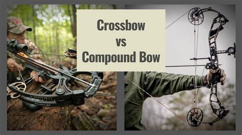 crossbow  compound bow      shooting gears