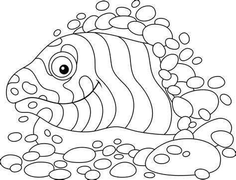 sea creatures coloring pages fish dolphins sharks  marine life