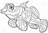 Fish Mandarin Angler Coloring Pages Tuna Cartoon Getcolorings Stock Getdrawings sketch template