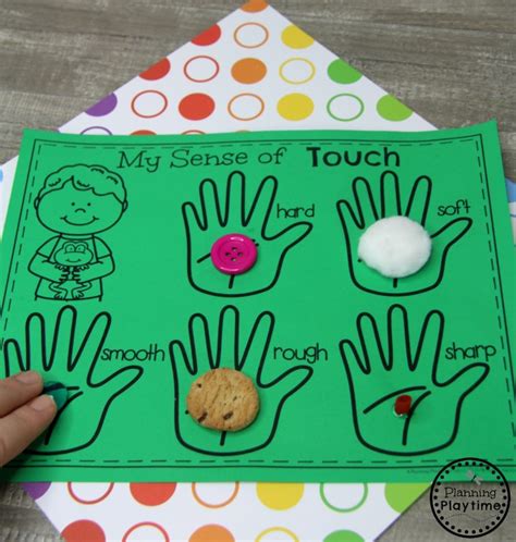 preschool  senses activities  senses activities senses activities