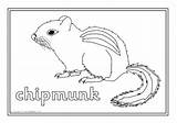 North Animals American Coloring Pages America Sheets Related Items sketch template