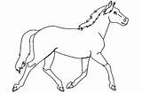 Paard Paarden Gefeliciteerd Sinterklaas Zoeken Downloaden sketch template