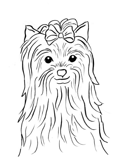 yorkie coloring pages  coloring pages  kids