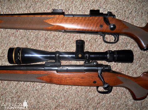 winchester model  sporter rifles africahuntingcom