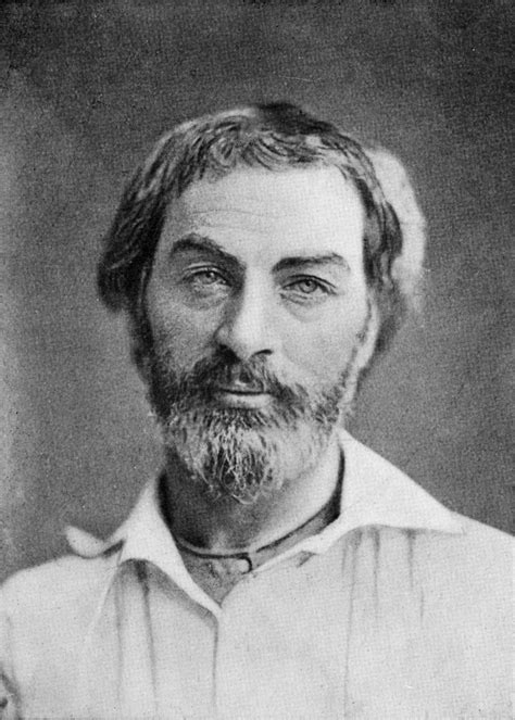 filewalt whitman  jpg wikipedia   encyclopedia