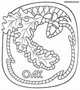 Oak Coloring Pages sketch template