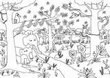 Coloring Dschungeltiere Colorare Giungla Dżungla Disegni Kolorowanki Kolorowanka Magiczna Dschungel Vögel Tiger Malvorlagen Unter Getbutton 3ab561 Lustige Tropische Preschool Azcoloring sketch template